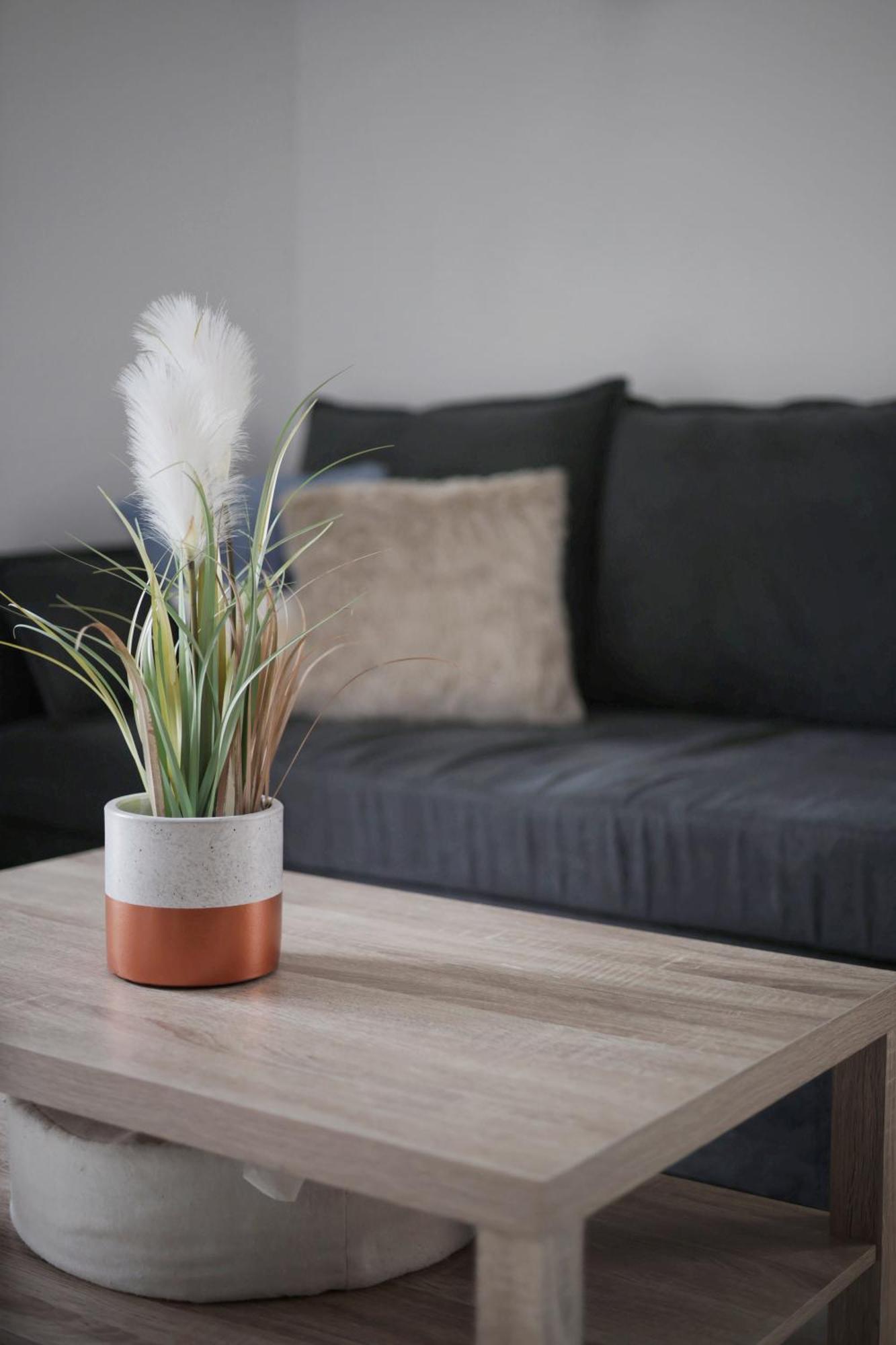 Appartement Familial Avec Jardin Ensoleille Dans La Cite Des Potiers Vallauris Zewnętrze zdjęcie